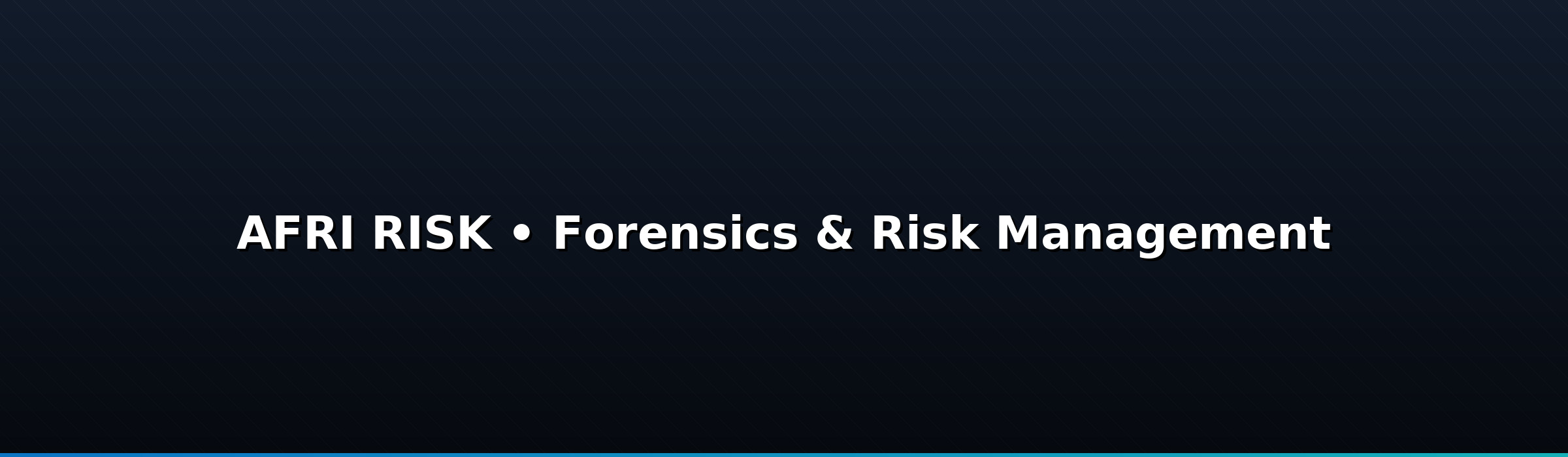 Forensic and risk management hero