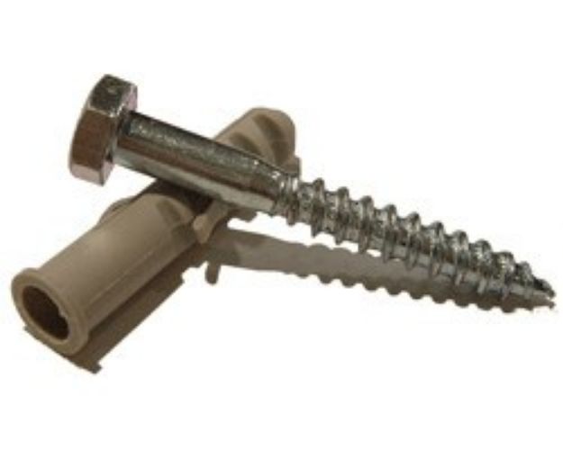 Coach Screw with Wall Plug