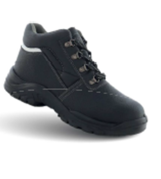 Picture of RAPTOR S1P